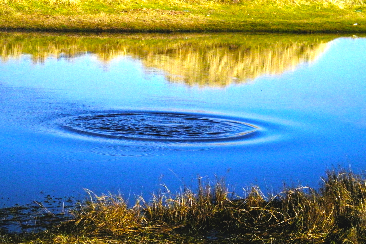 ripples