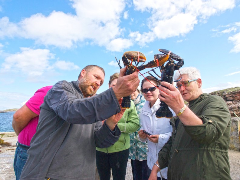 writing in Donegal, Ireland Writing Retreat, lobster 