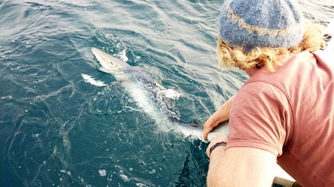 Gareth Doherty saving sea life, Donegal wild life