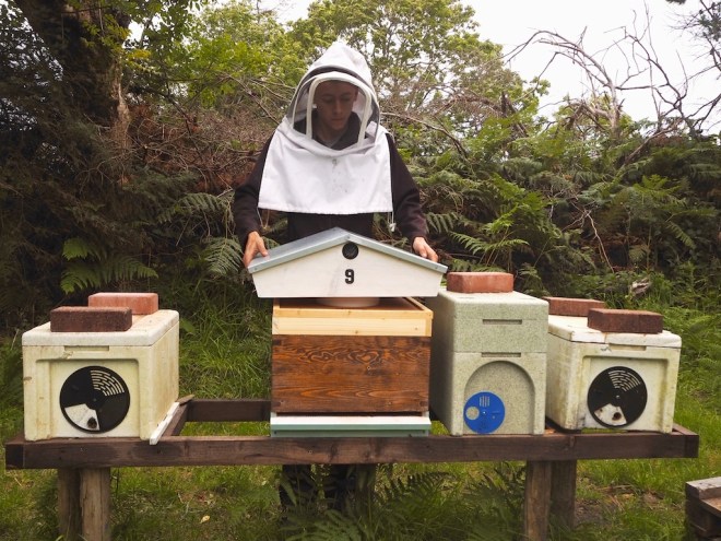An Earagail Apiary, anthony gallagher honey, donegal honey